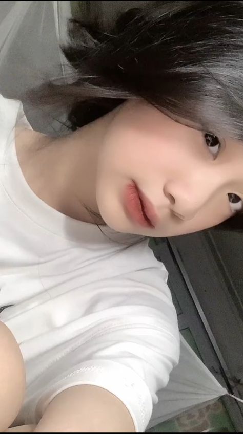 绝岭雄风免费观看完整版